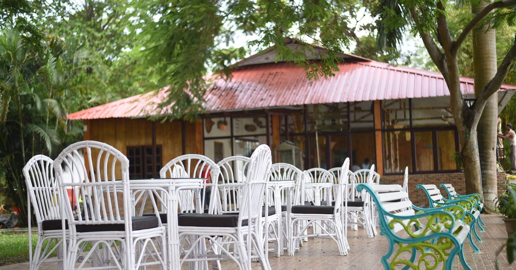 Peaceful outdoor seating arrangement by the lake, surrounded by lush greenery.